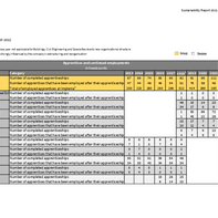SUS-Report_Apprentices.pdf