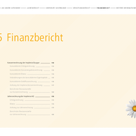 Implenia-GB-2019-DE-consolidated-financial-statements.pdf