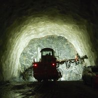 Projekt Moss: Framsteg trots utmaningar