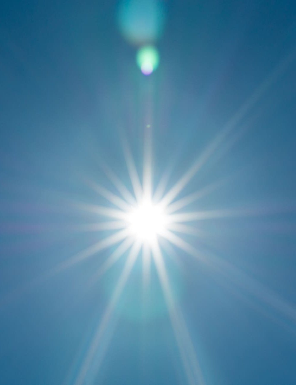Sole