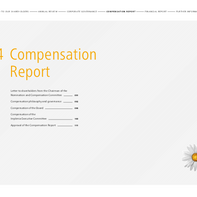 Implenia-GB-2019-EN_compensation-report.pdf