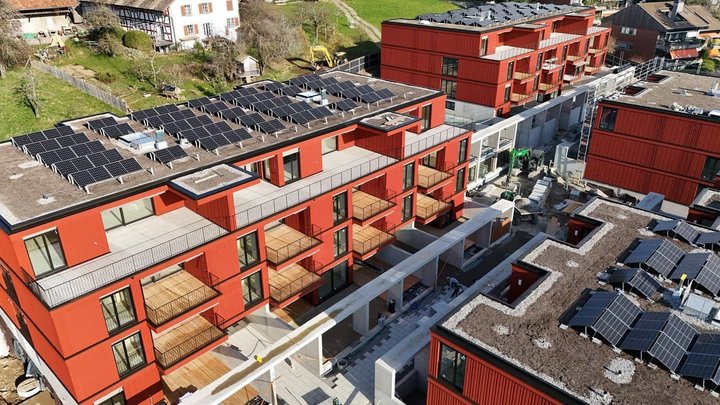 Engineering for sustainable timber construction