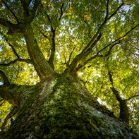 A second life for digital devices