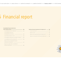 Implenia-GB-2019-EN-consolidated-financial-statements.pdf